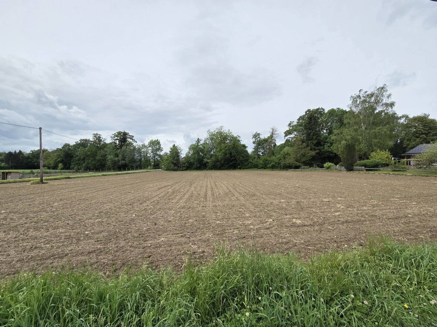 Baugrund 2.739m² in Deutsch Goritz