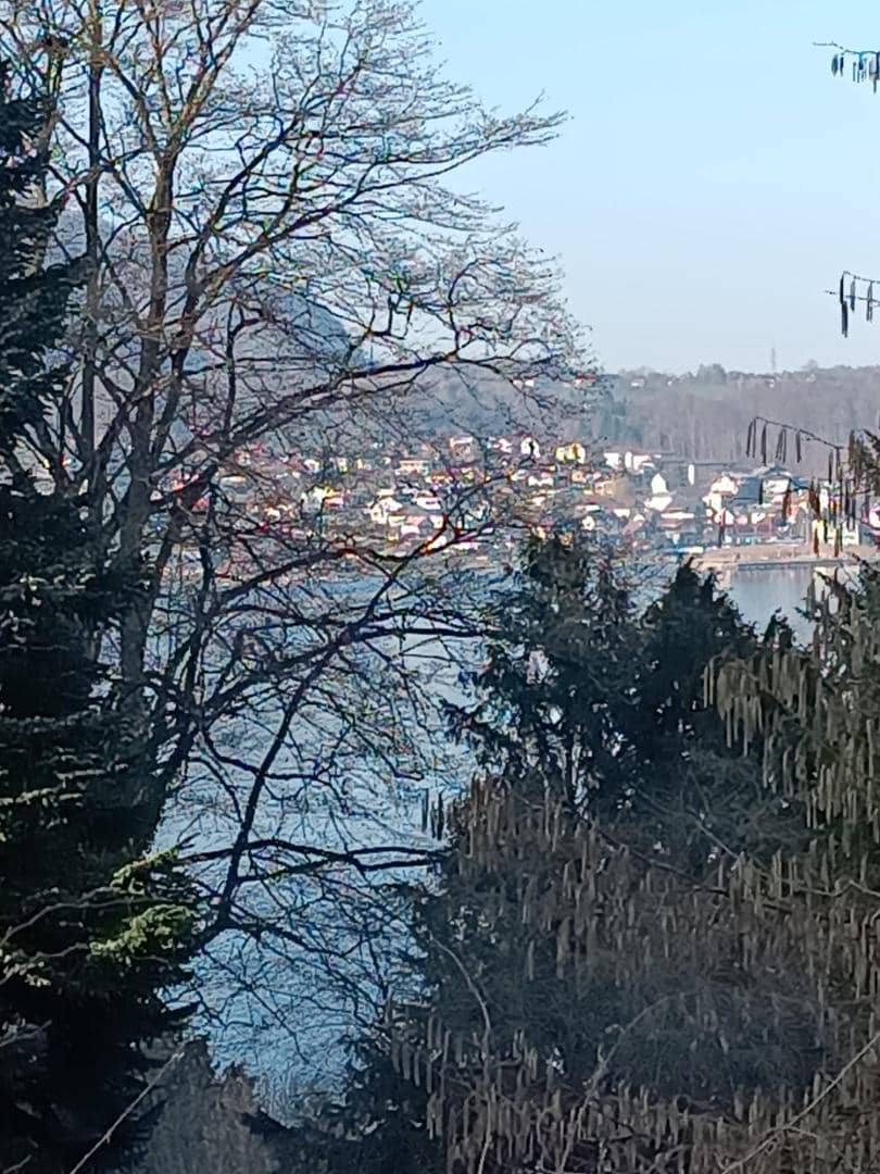 Immobilienbild 4