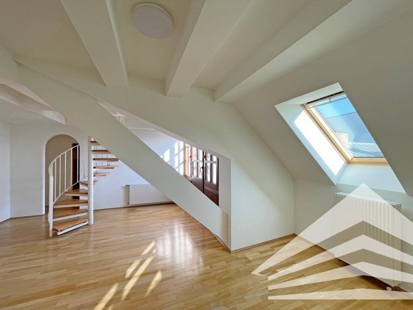 Attic apartment bright with terrace in center