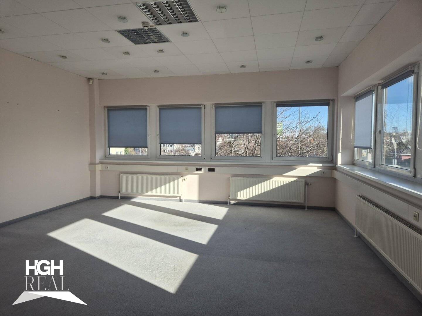 Air-Conditioned Offices 325m² Vienna 1230
