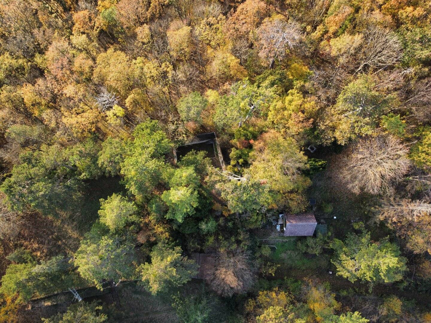 Drei Bauflächen in Waldrandlage im Naturschutzgebiet Lainzer Tiergarten