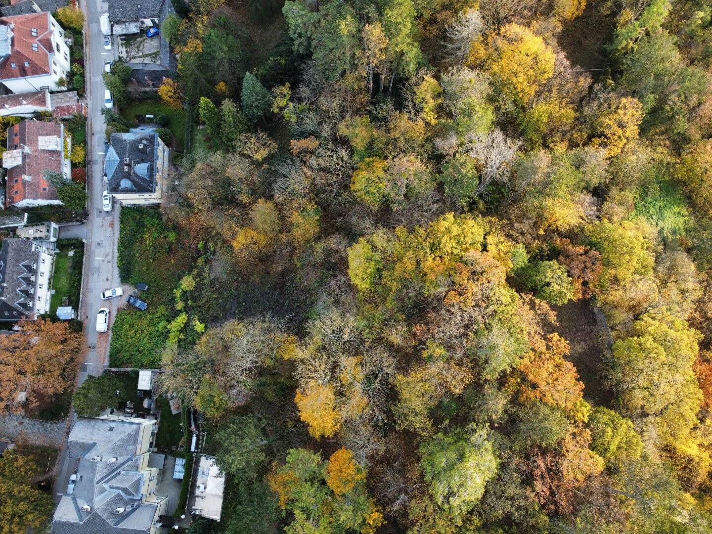 Drei Bauflächen in Waldrandlage im Naturschutzgebiet Lainzer Tiergarten