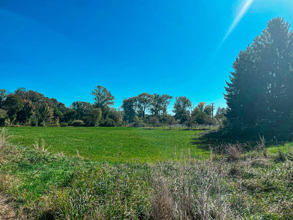 Grundstück 653 m² Forchtenau