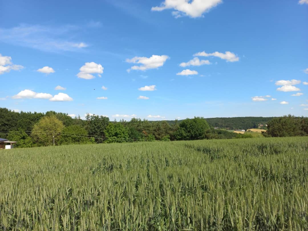 Großzügiges Grundstück in Ruhelage mit S7 Anbindung