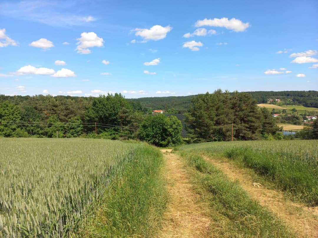 Immobilienbild 3