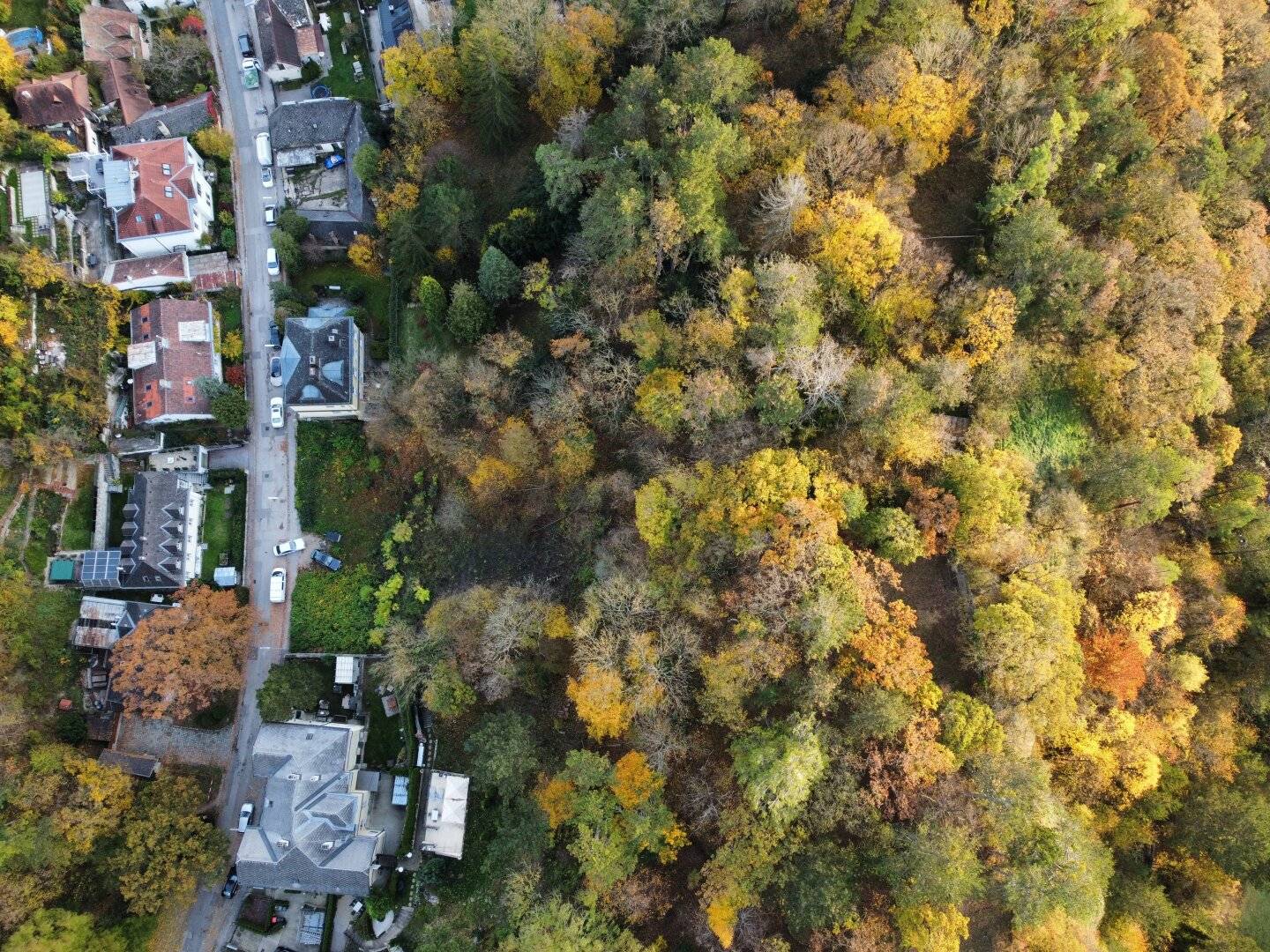 3 Building Plots in a Particularly Beautiful Villa Green Quiet Location Including Development Concept
