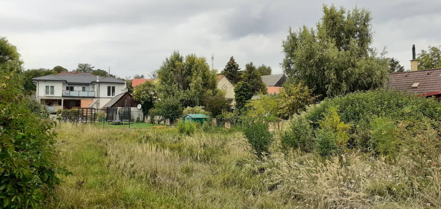 Baugrund 853 m² in Hautzendorf