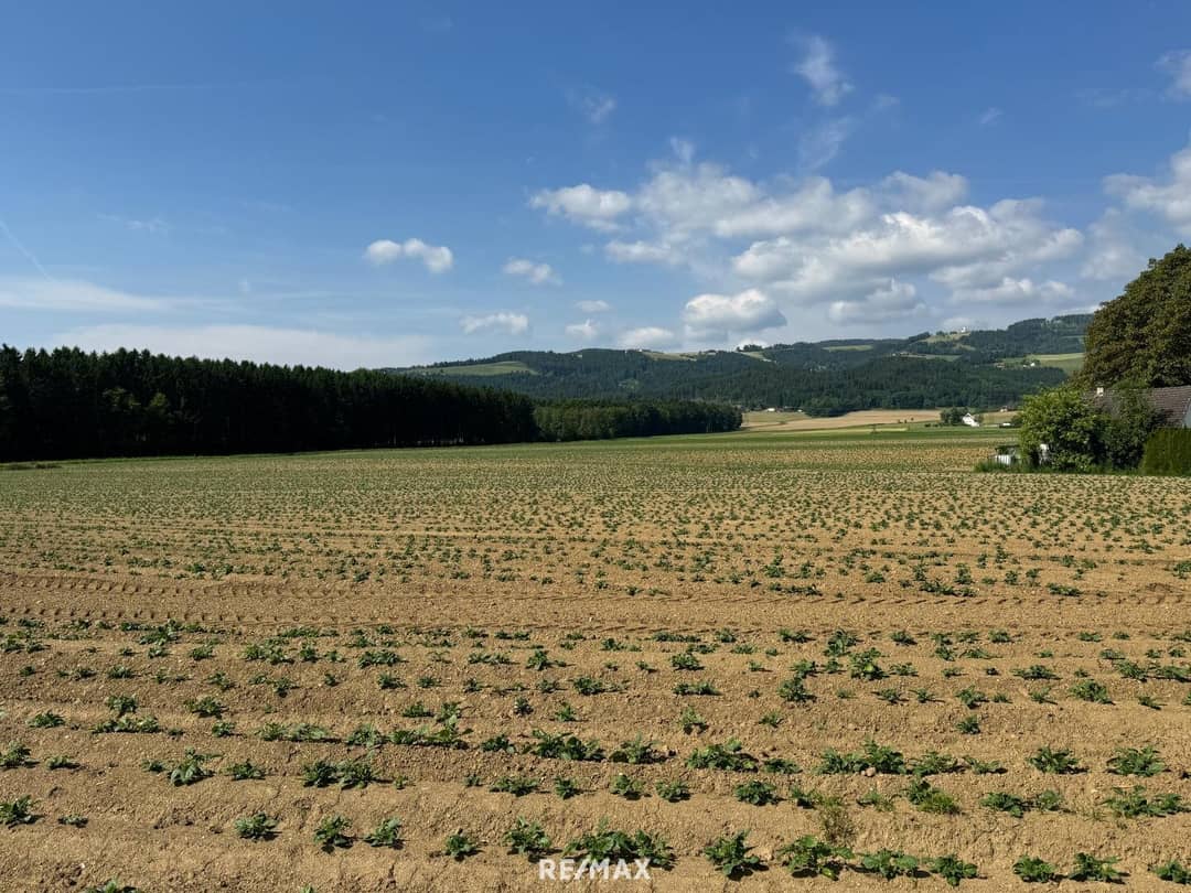 Building land 2977m² St. Marein