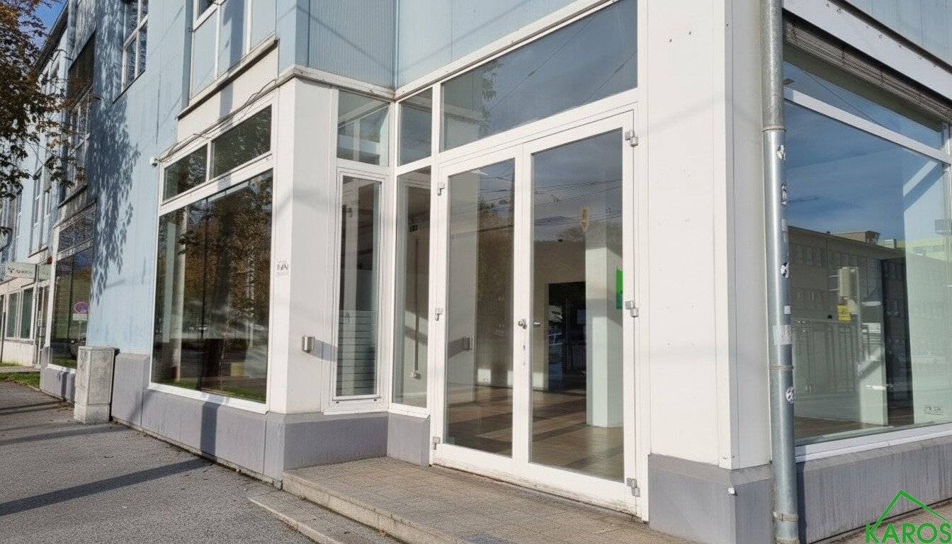 Geschäftslokal 211m² Asperngasse