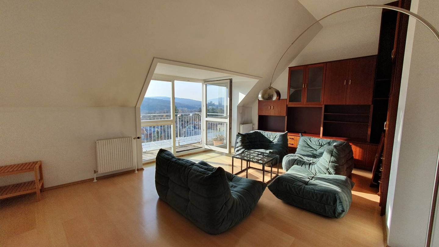 Dachgeschosswohnung mit Dachterrasse und Grünblick