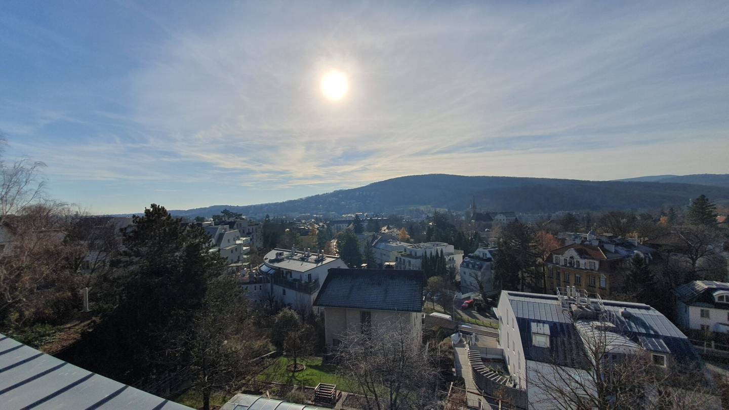 Dachgeschosswohnung mit Dachterrasse und Grünblick