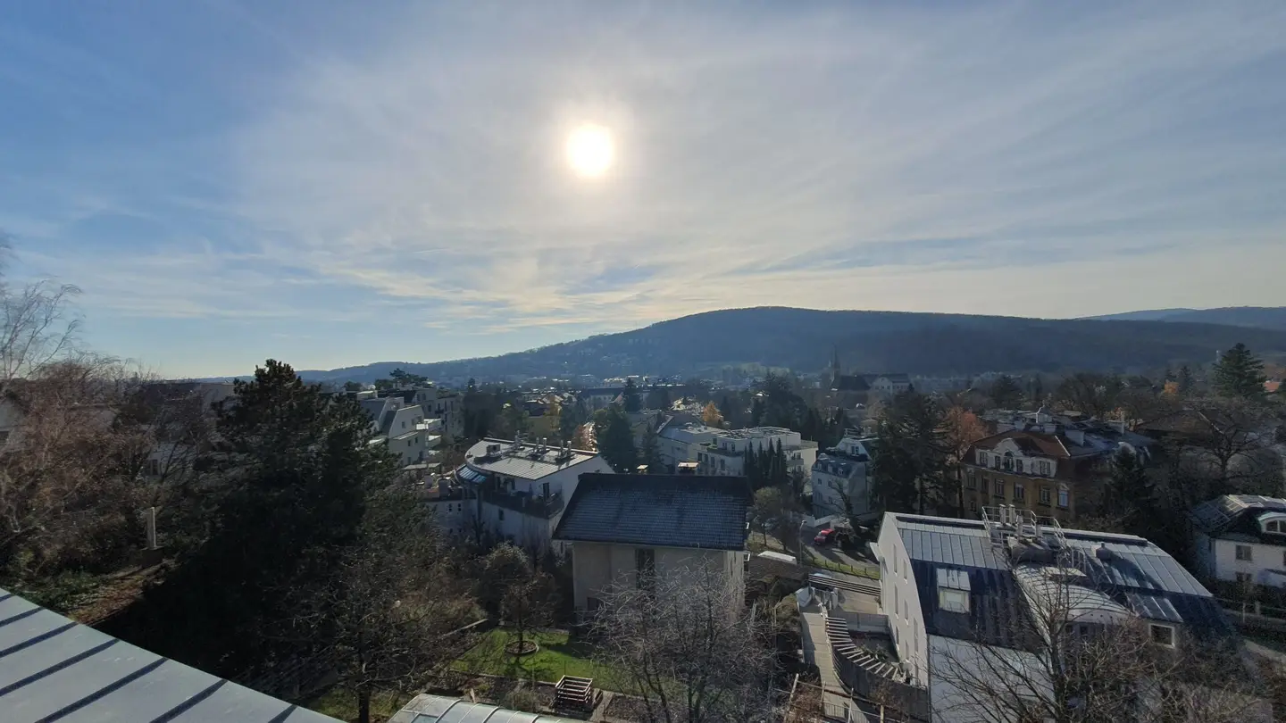 Dachgeschosswohnung mit Dachterrasse und Grünblick