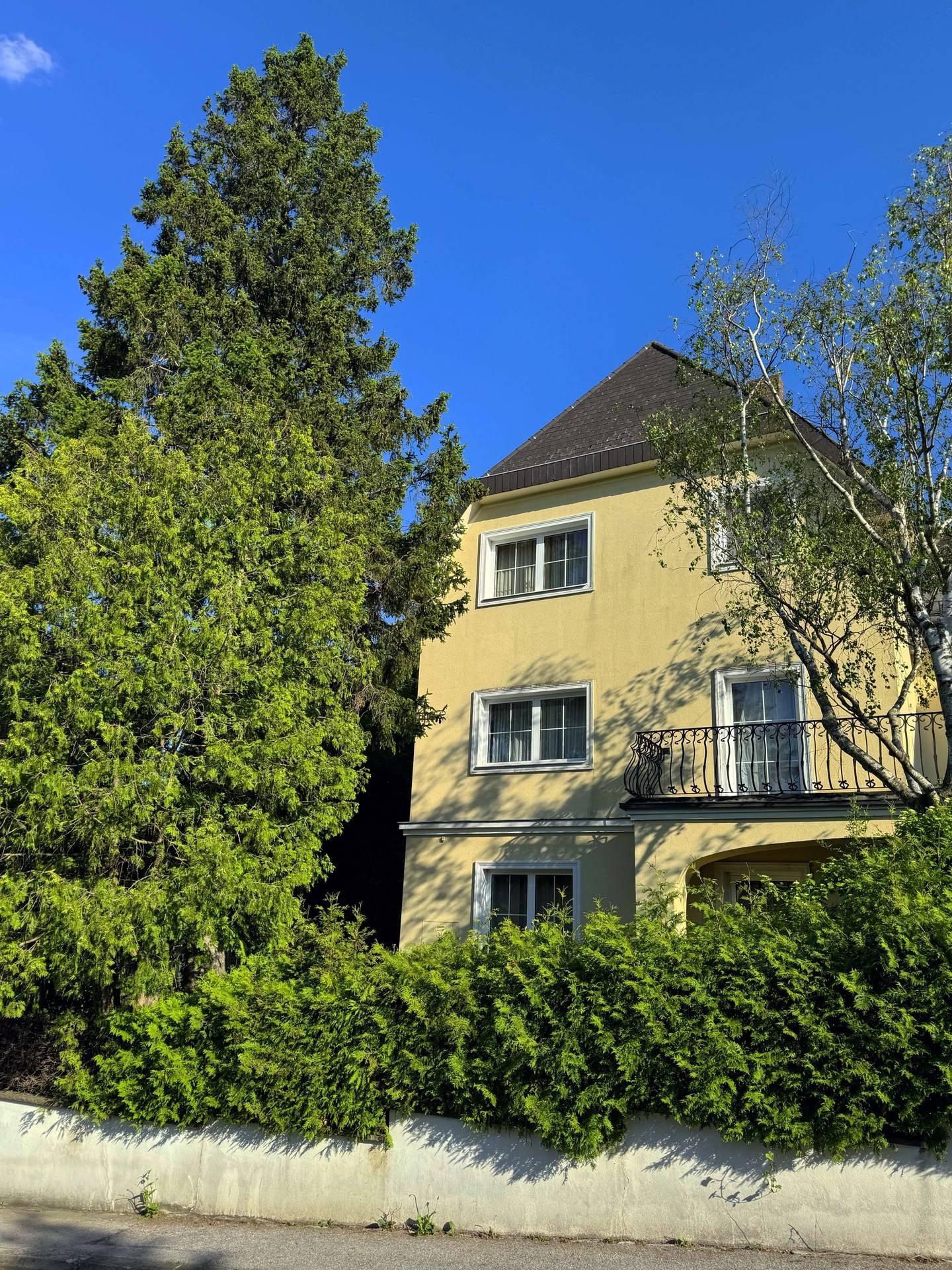 Einfamilienhaus in Hietzing Grünlage