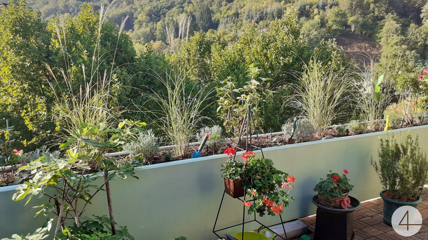 Dachgeschosswohnung sonnige Terrasse Grünblick