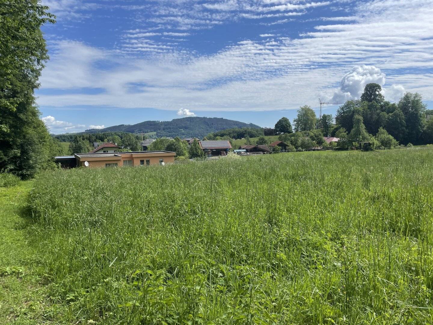 Traumhafte Baugrundstücke in der Nähe vom Attersee !