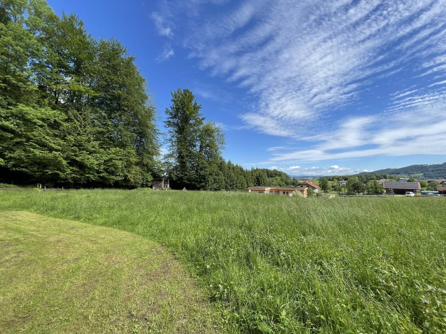 Traumhafte Baugrundstücke in der Nähe vom Attersee !