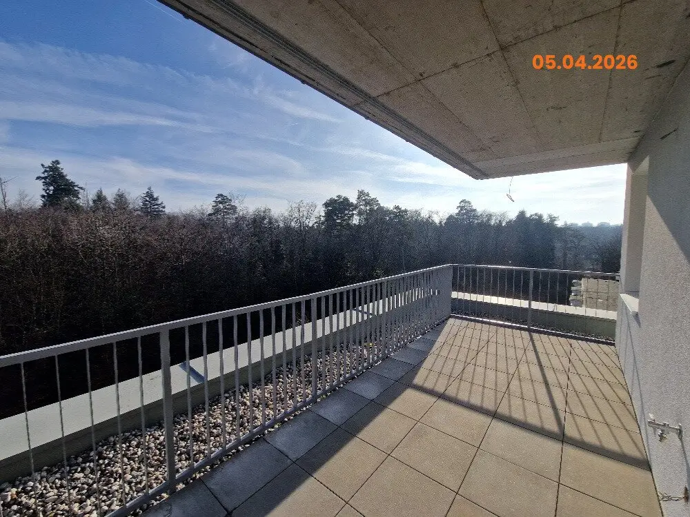 Immobilienbild 4