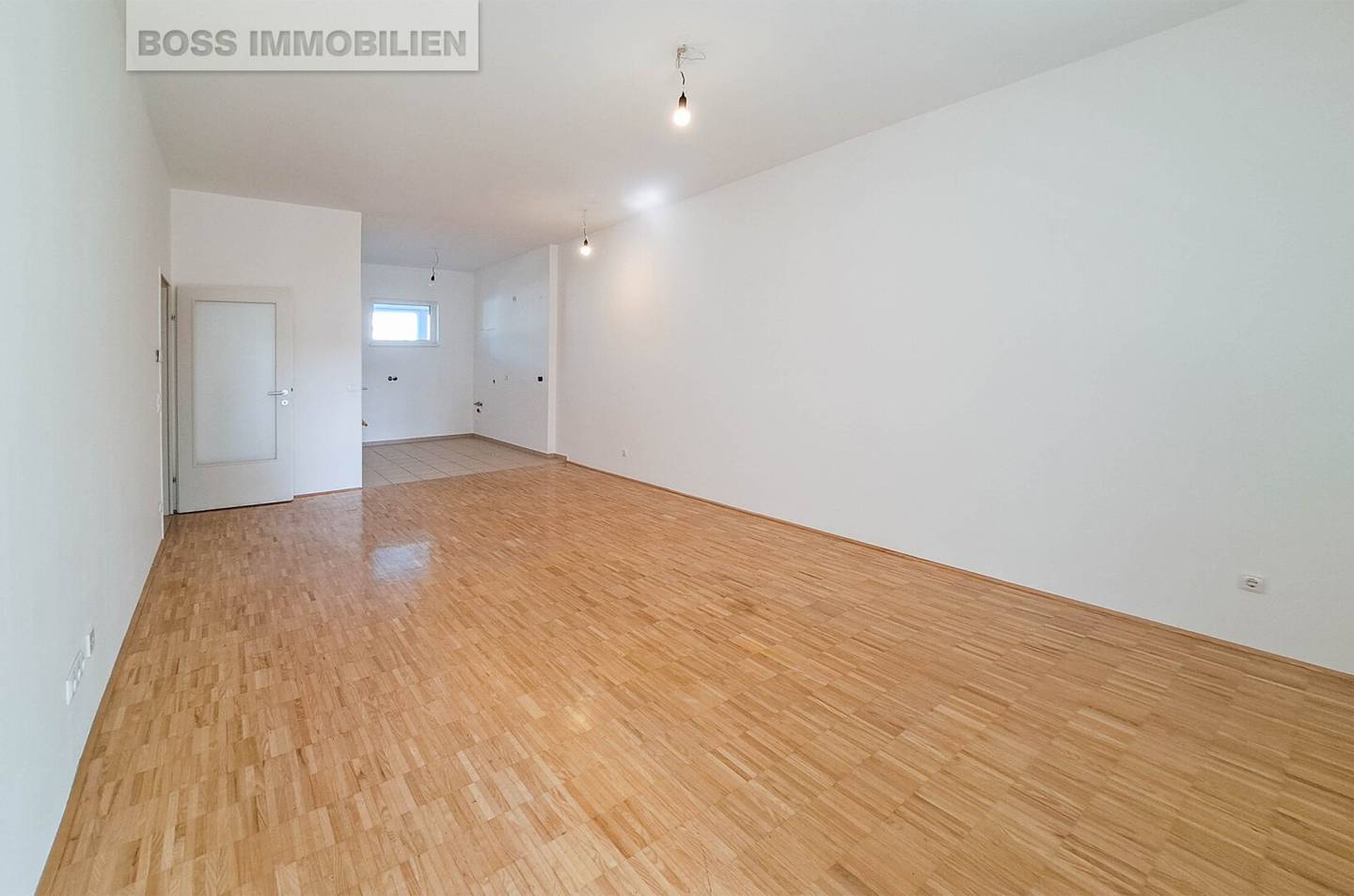 Apartment with large loggia in Linz center