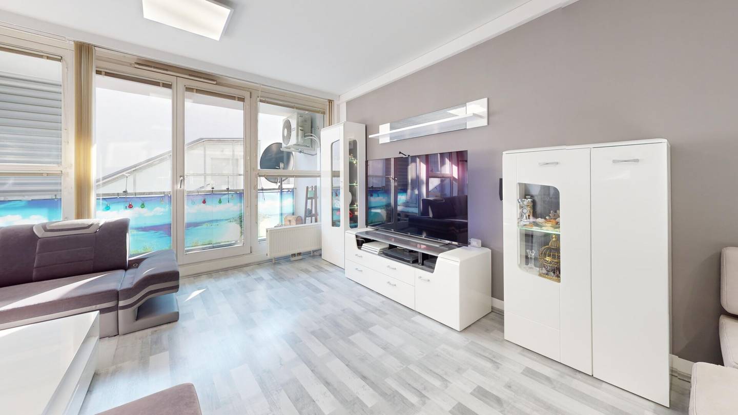 Apartment with sunny south loggia and Kahlenberg view