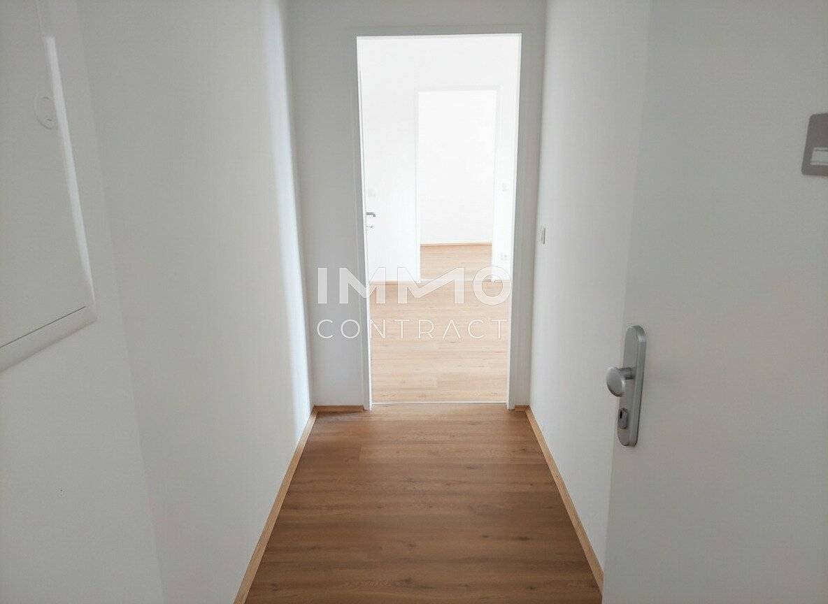 Ground floor renovated apartment first occupancy