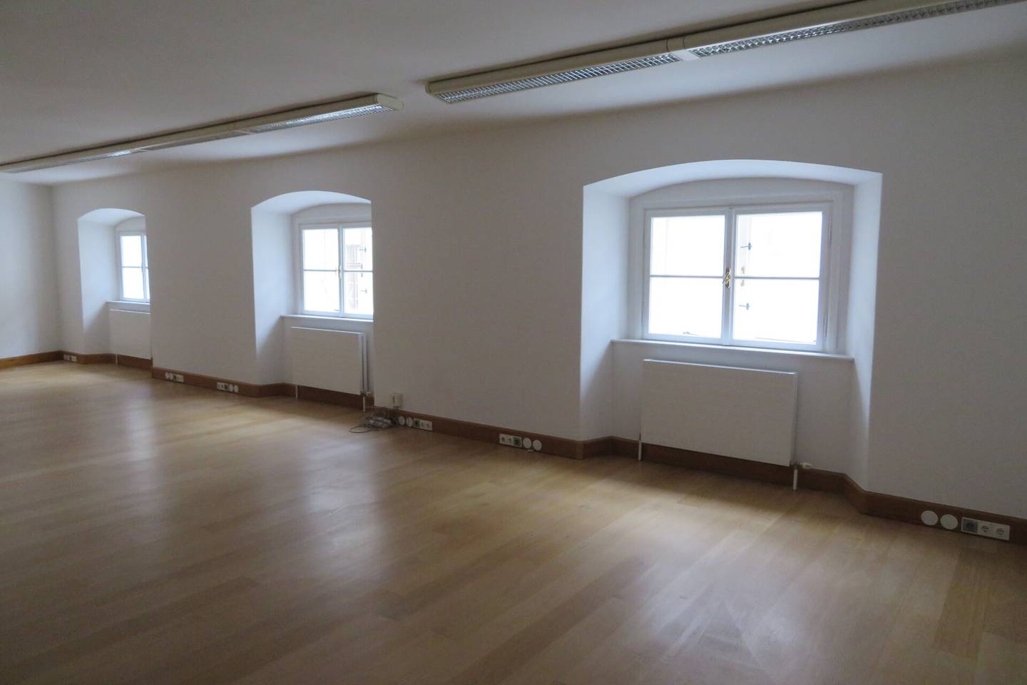 Office in Baroque Palace Vienna 1010