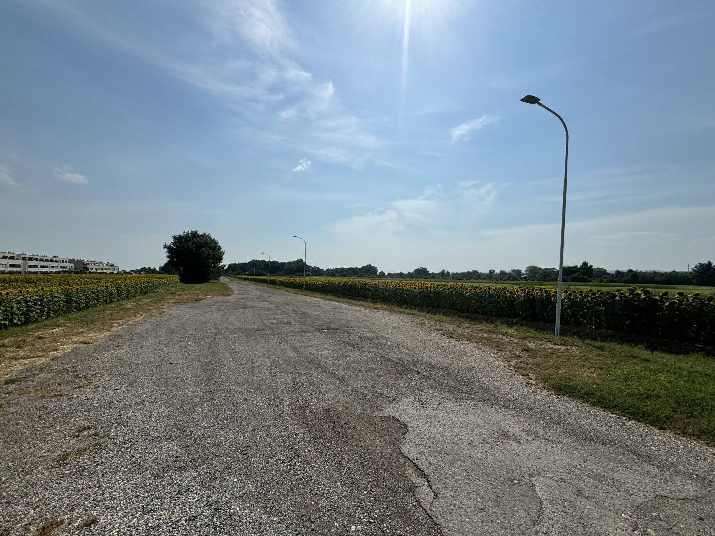 Grünland 2113m² Neusiedl am See