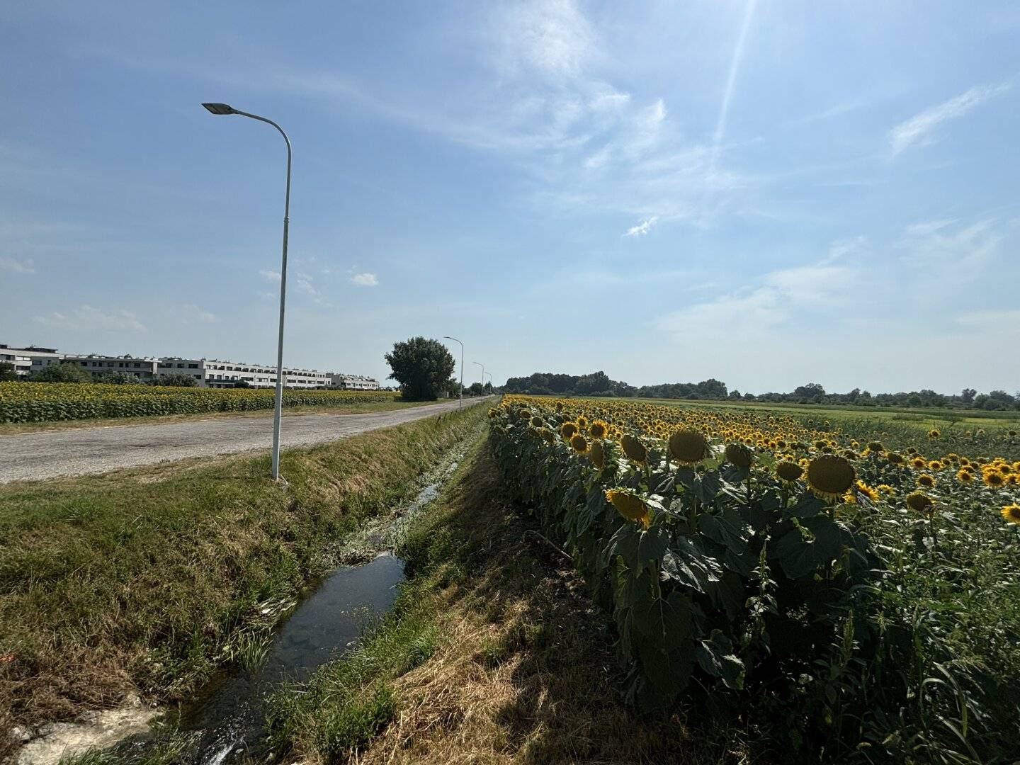 Grünland 2113m² Neusiedl am See