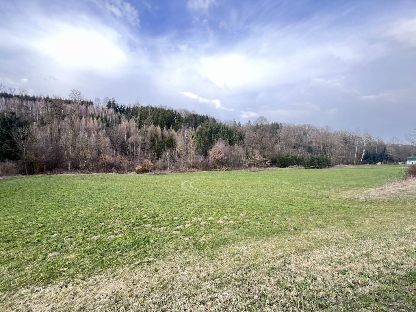 Waldgrundstück in St. Florian
