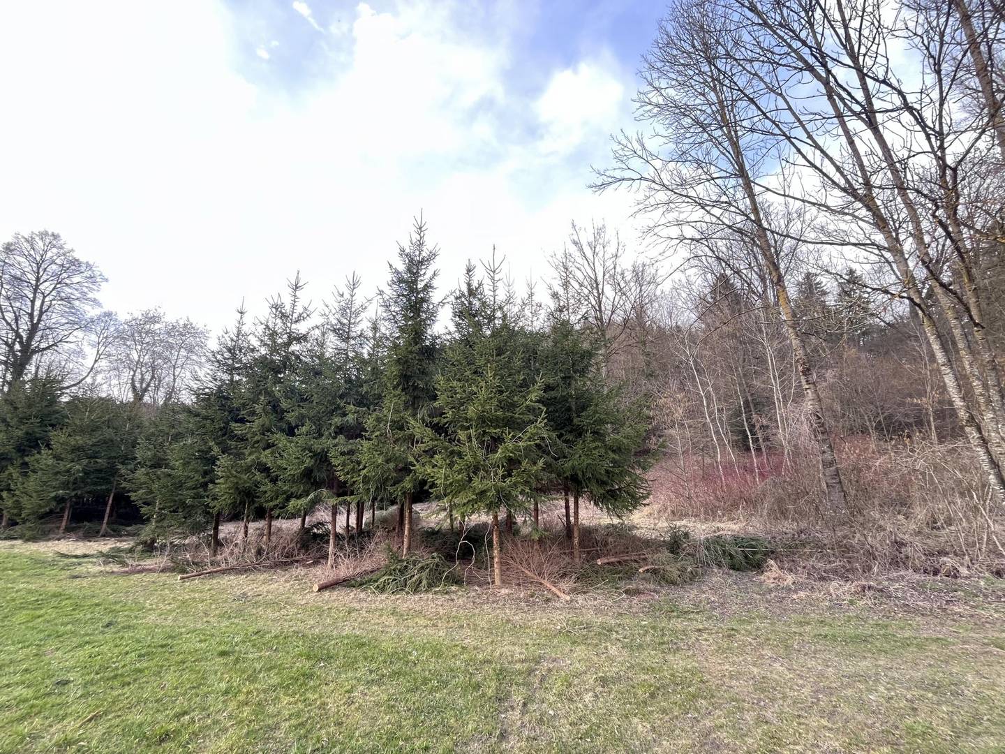 Waldgrundstück in St. Florian