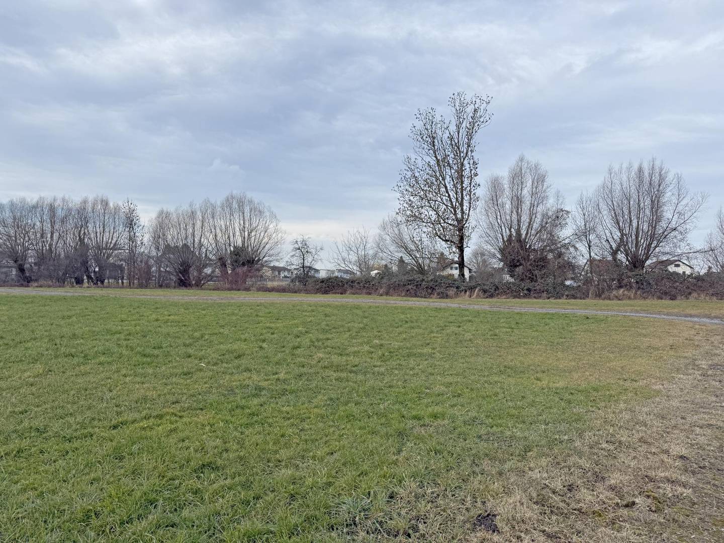Fußach: Grundstück 662 m²