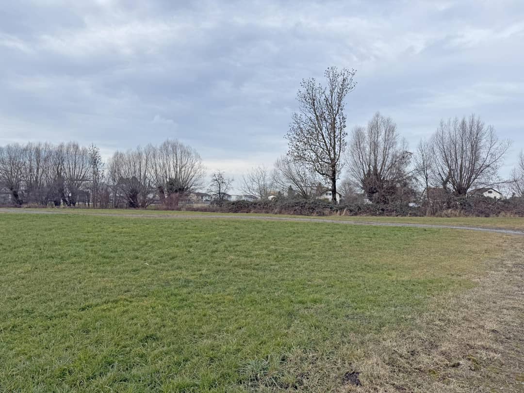 Fußach: 662 m² plot