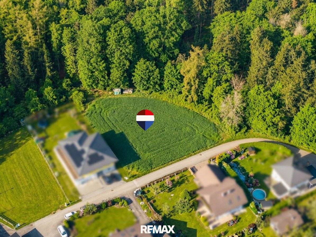 Building land in quiet forest edge location