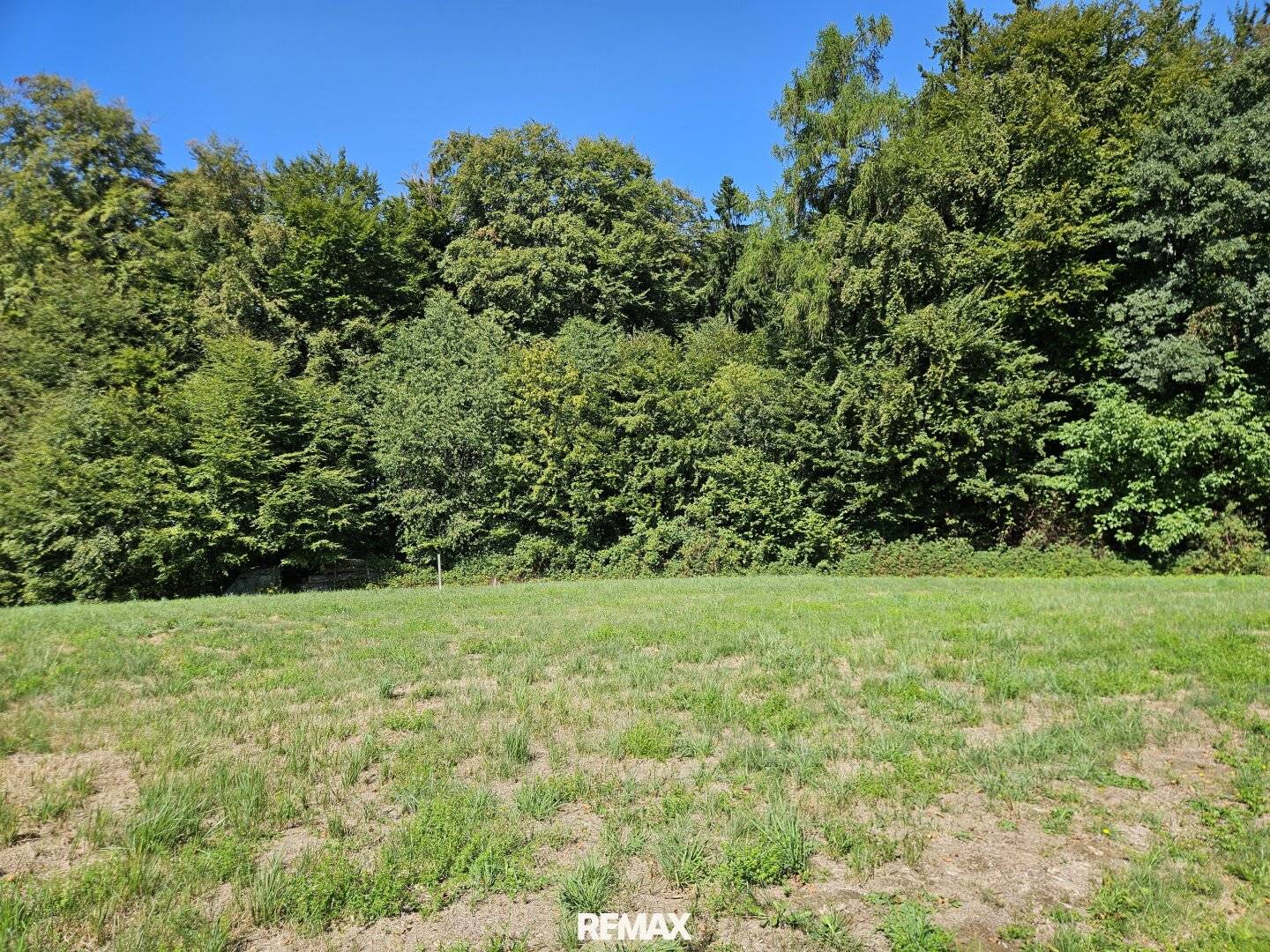 Building land in quiet forest edge location
