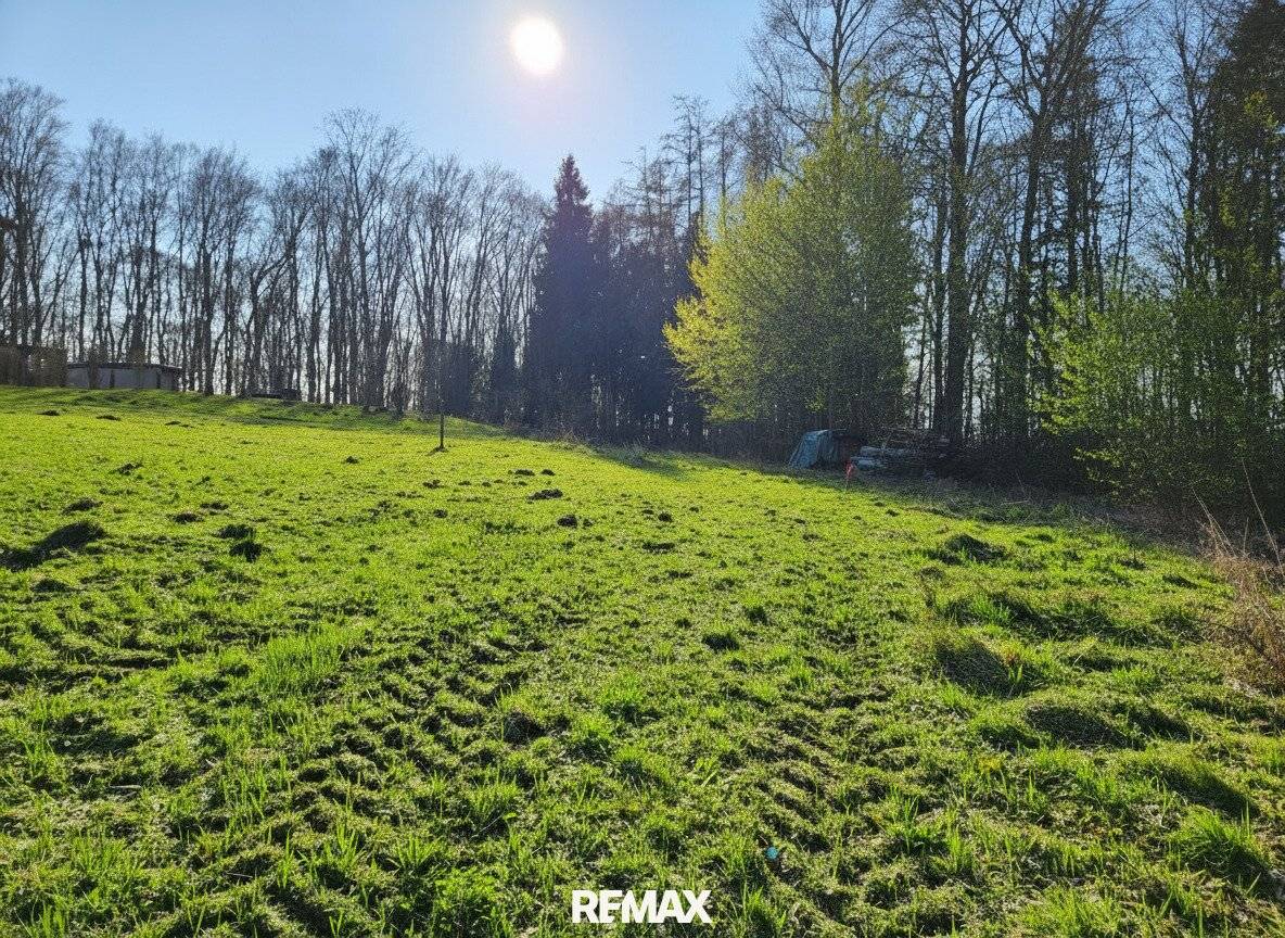 Building land in quiet forest edge location