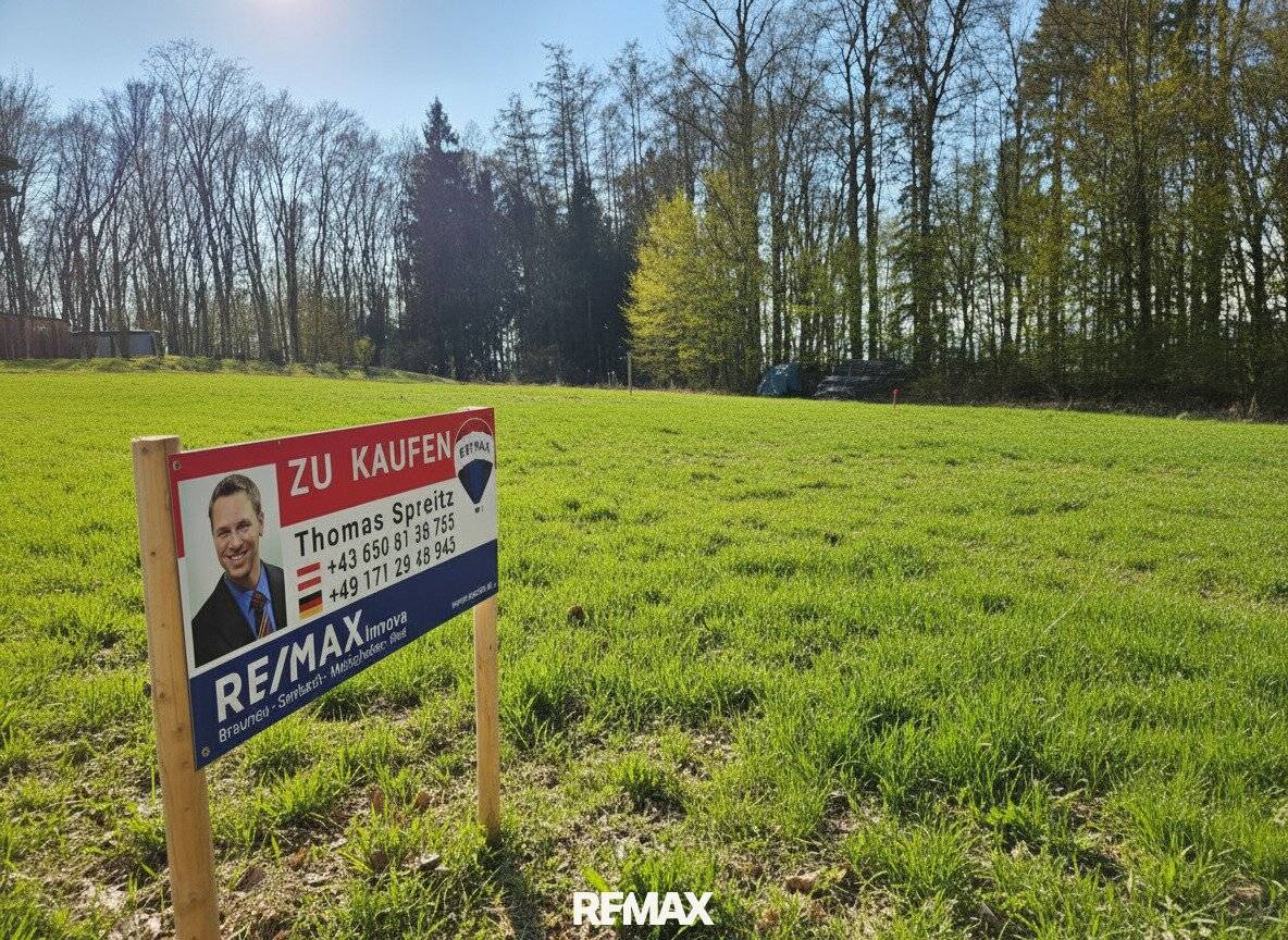 Building land in quiet forest edge location