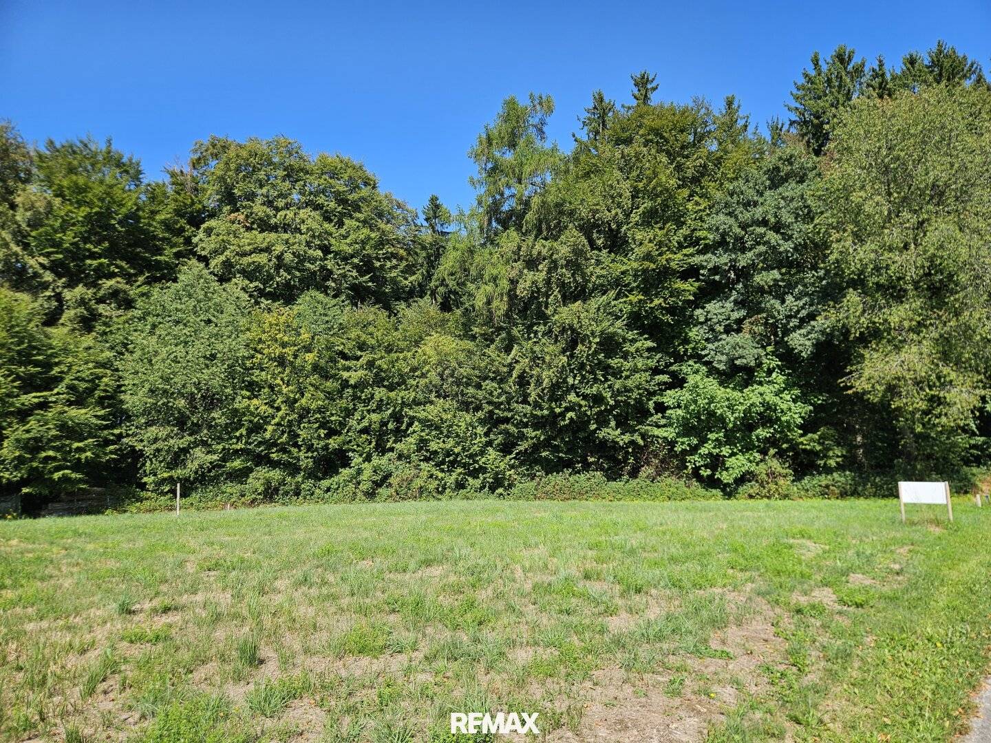 Building land in quiet forest edge location
