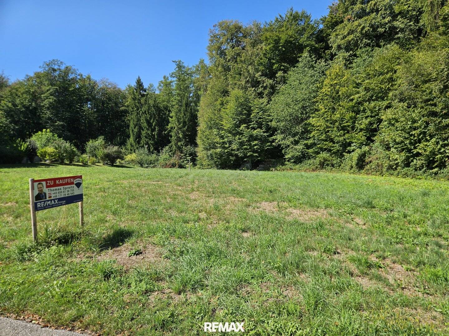 Building land in quiet forest edge location