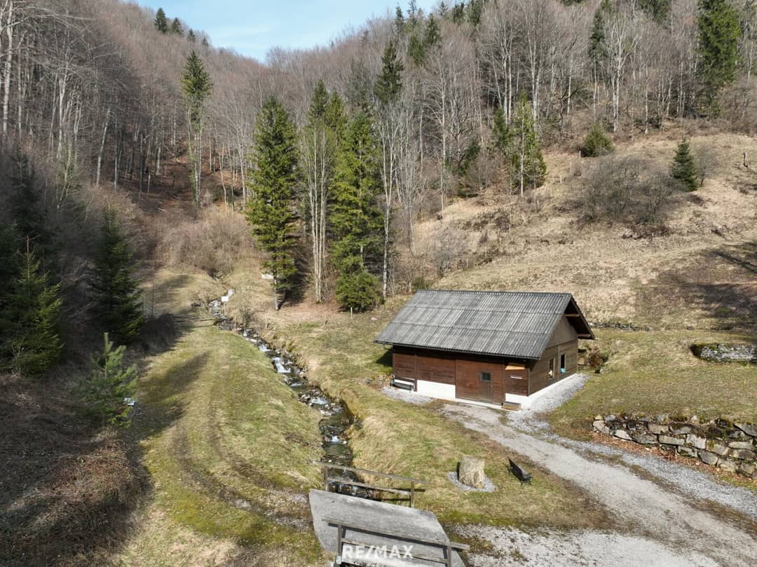 16 ha Land & Forestry Gnadenberg