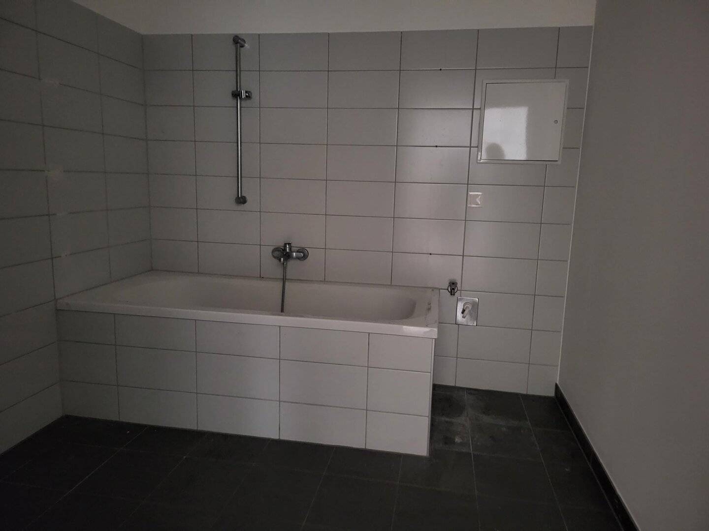 Apartment with loggia and kitchen facilities