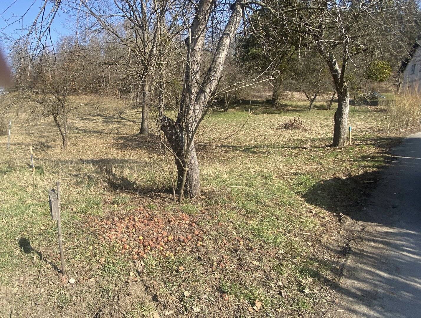 Baugrundstück Olbendorf mit Aussicht