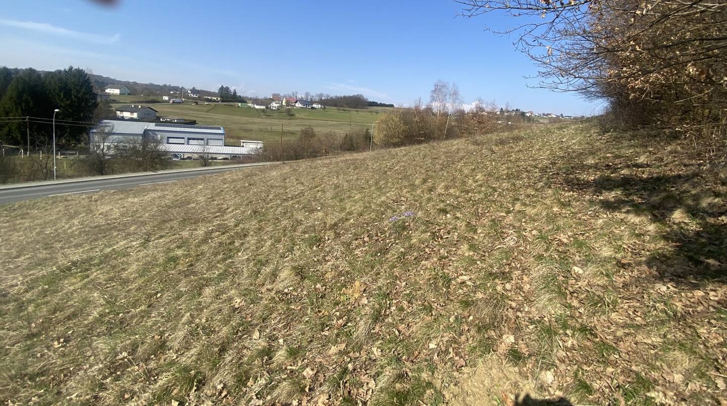Baugrundstück Olbendorf mit Aussicht
