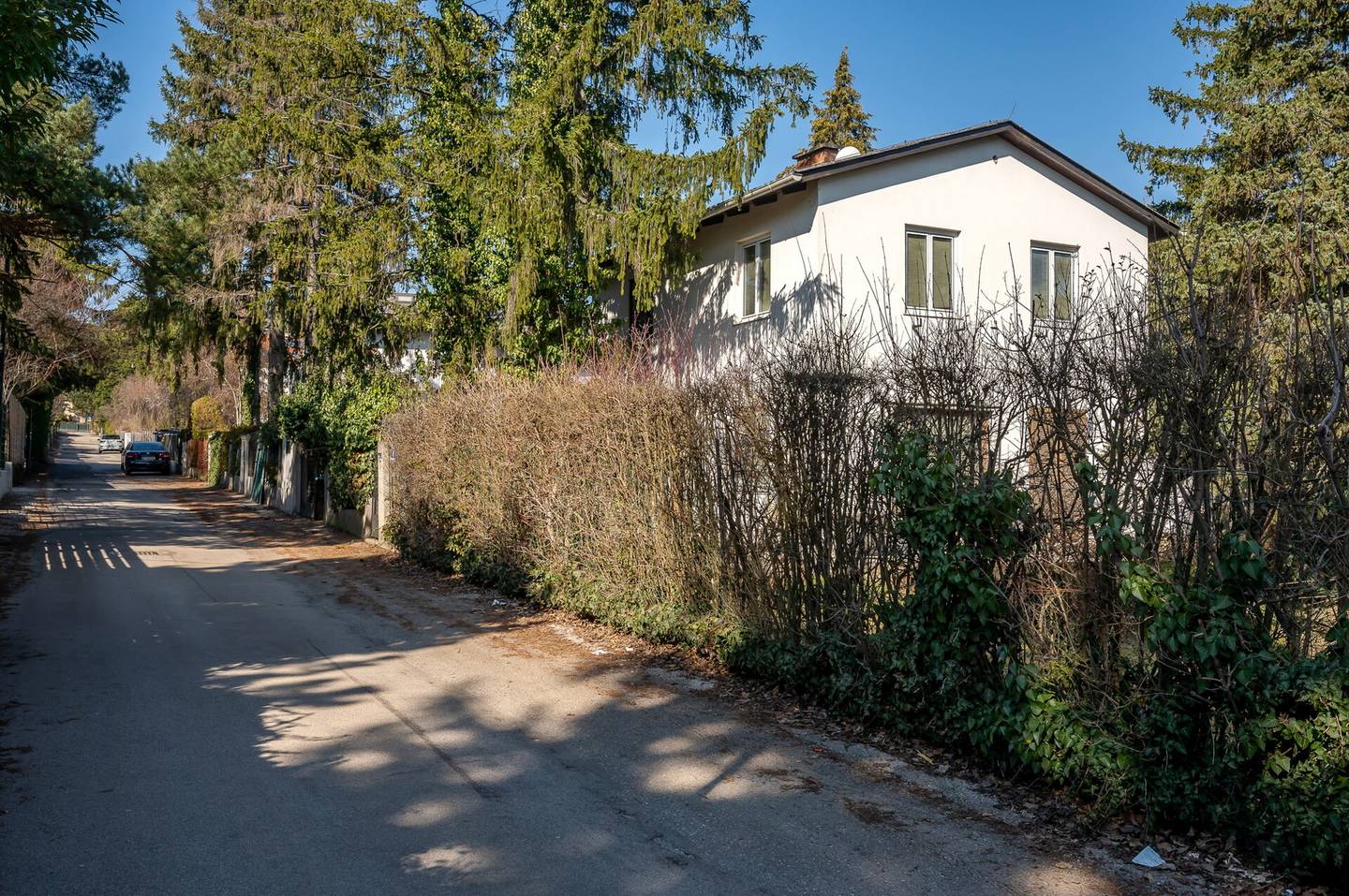 Family House in Hietzing with Garden