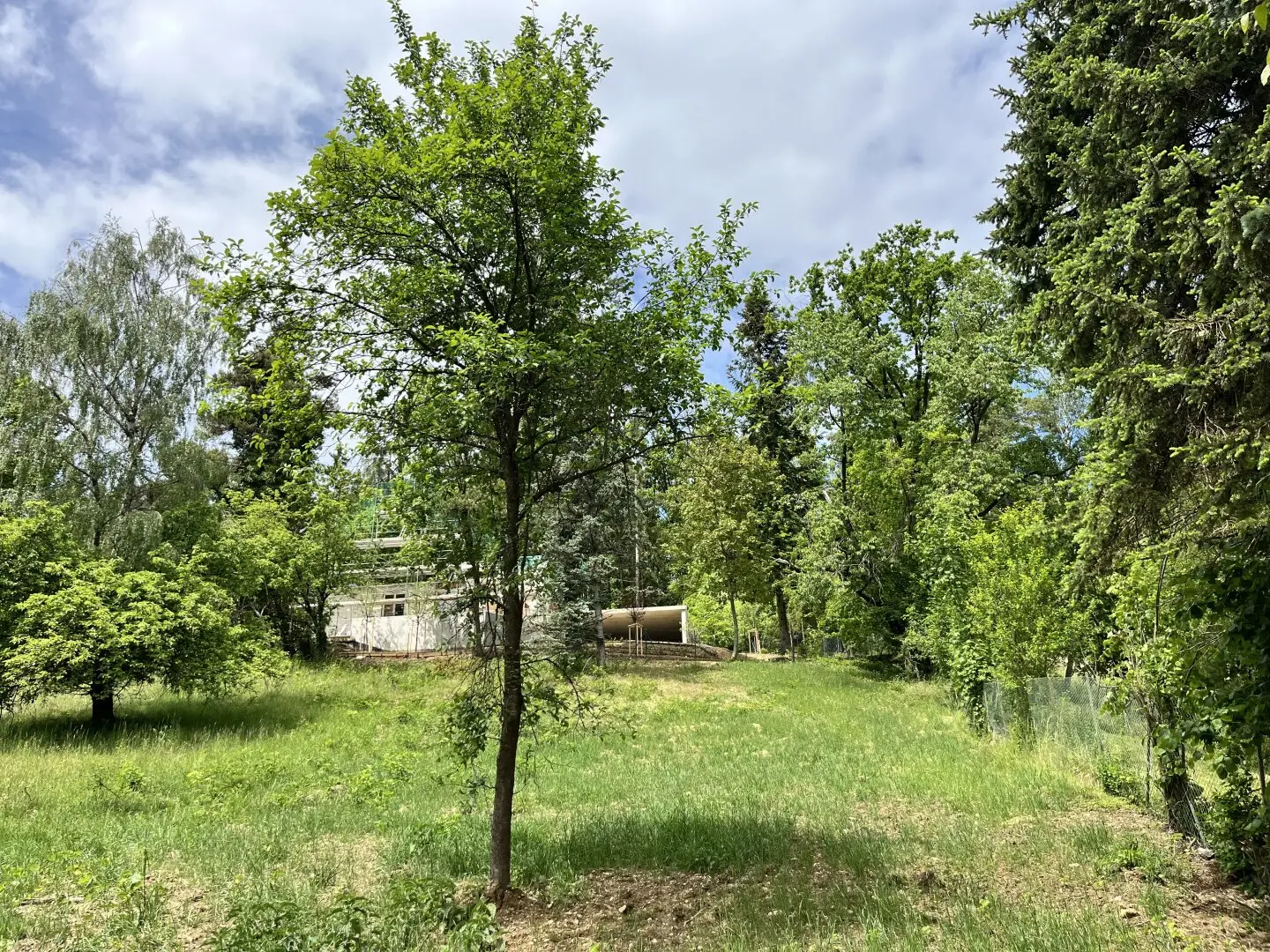 Graz-Stifting: Großzügiges Grundstück zur Eigennutzung – 1.270 m² für individuelle Bebauungsideen mit Teilungsmöglichkeit!