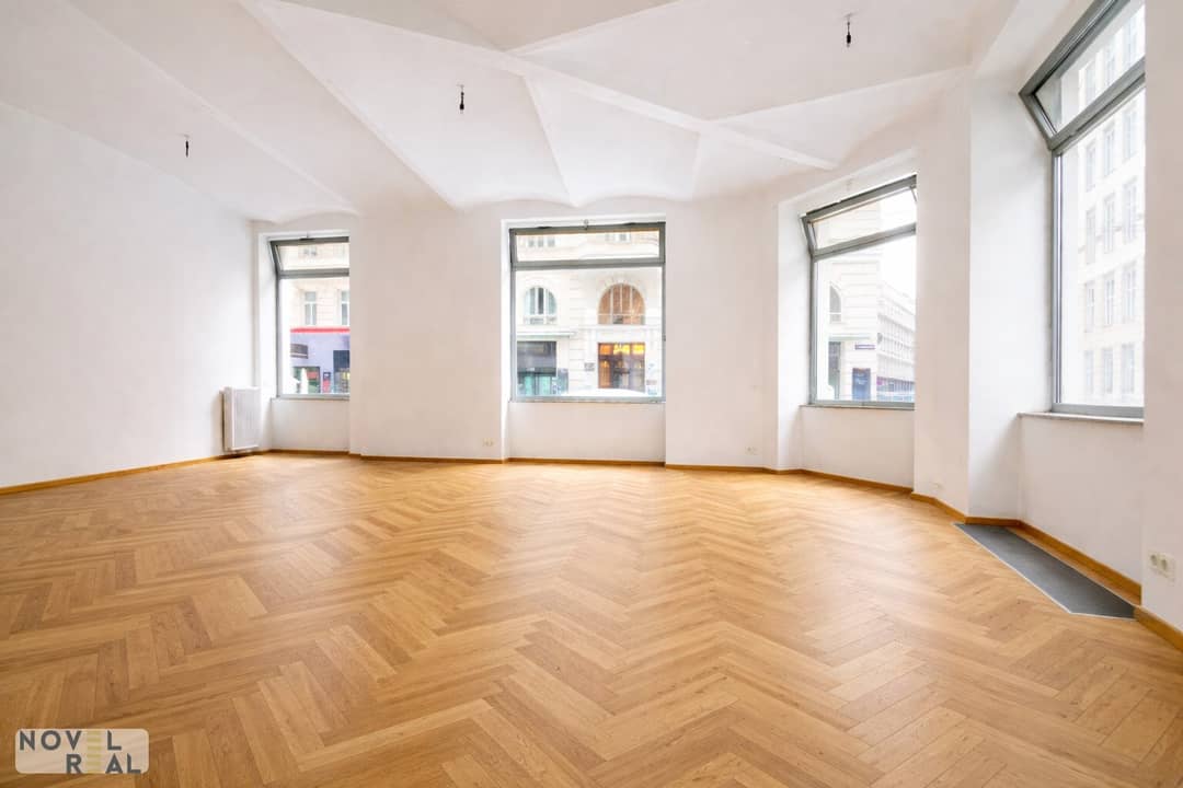Historic Commercial Space Vienna 1010