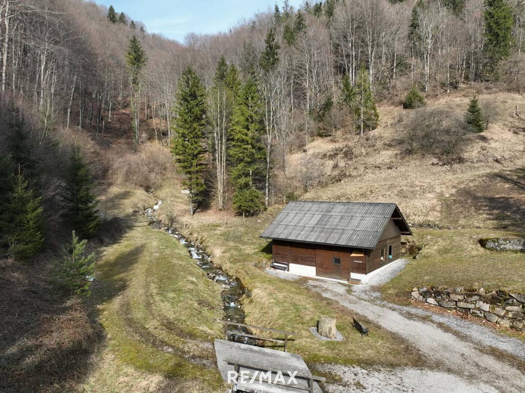 16 ha Land & Forestry Gnadenberg