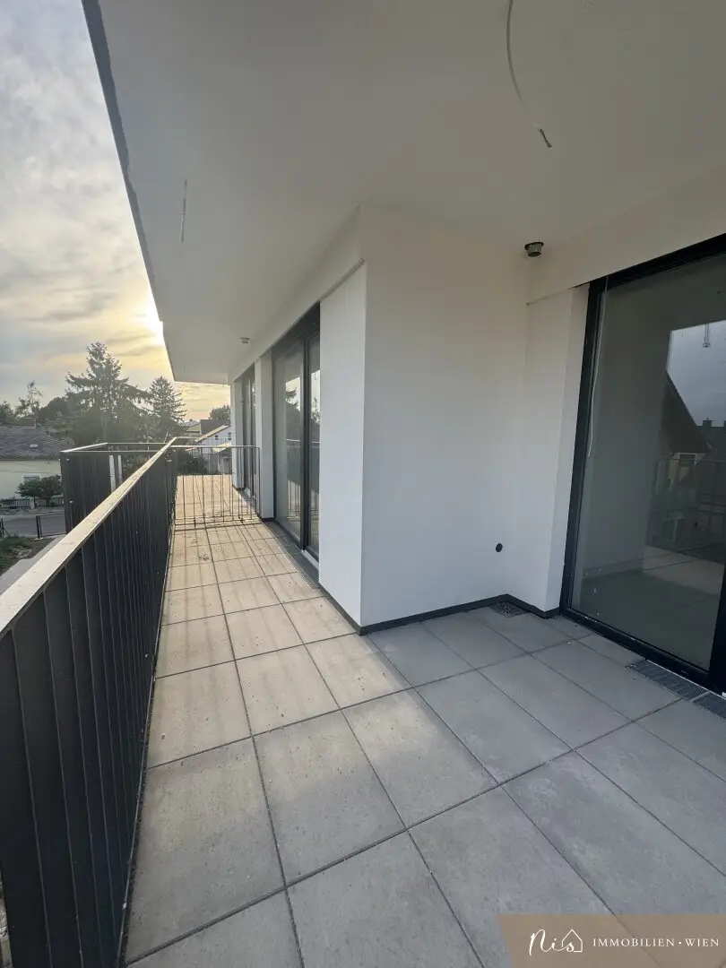New build apartment first occupancy south terrace Seestadt