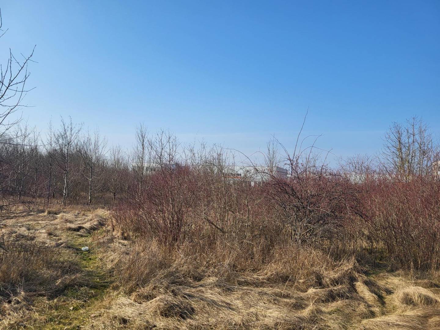 Gewerbegrundstück Wels, 6768 m²
