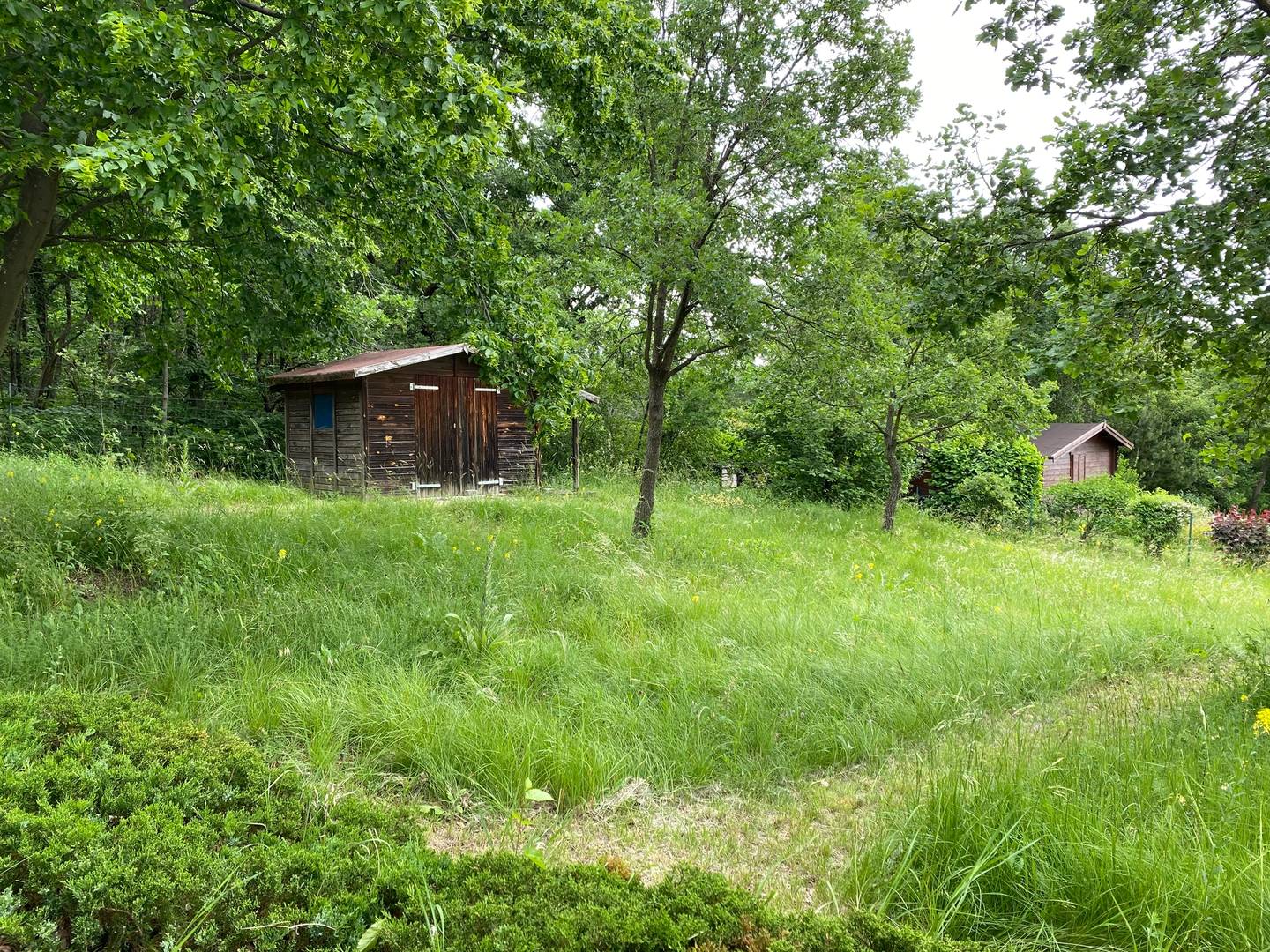 Einfamilienhaus mit Seeblick, Breitenbrunn