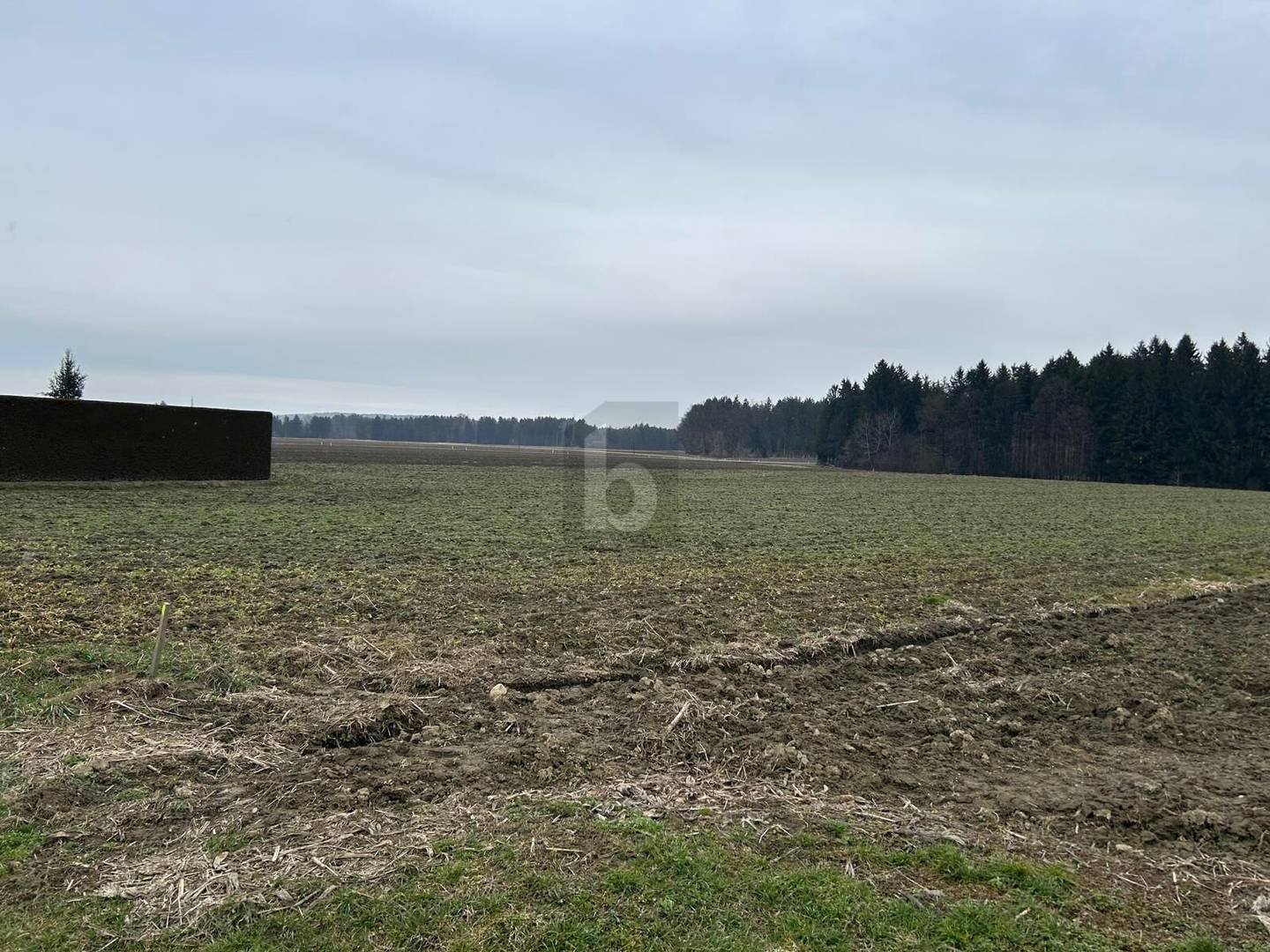 Ruhig gelegen mit Weideoption Familienwohnung