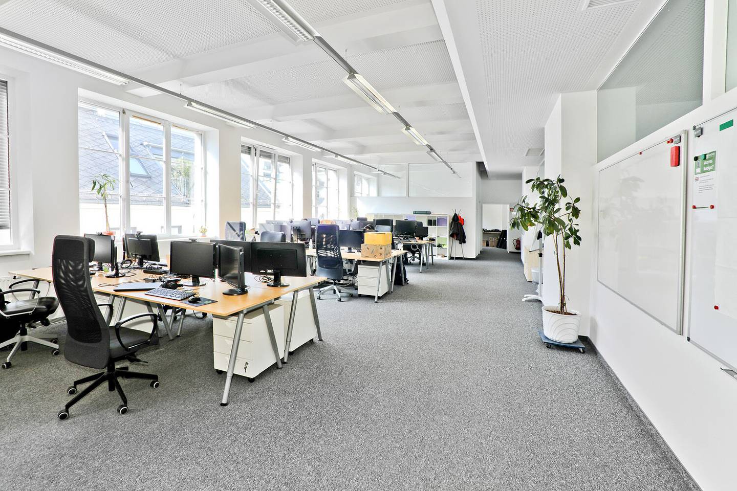 LOFT Office Building Neubau